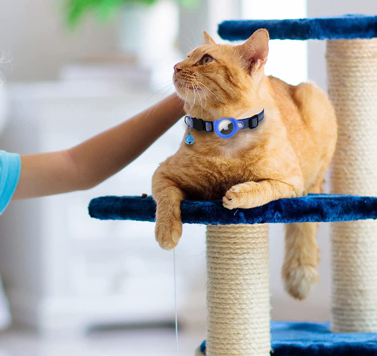 CatTrack™ | Waar ze ook zijn, jij weet het altijd!