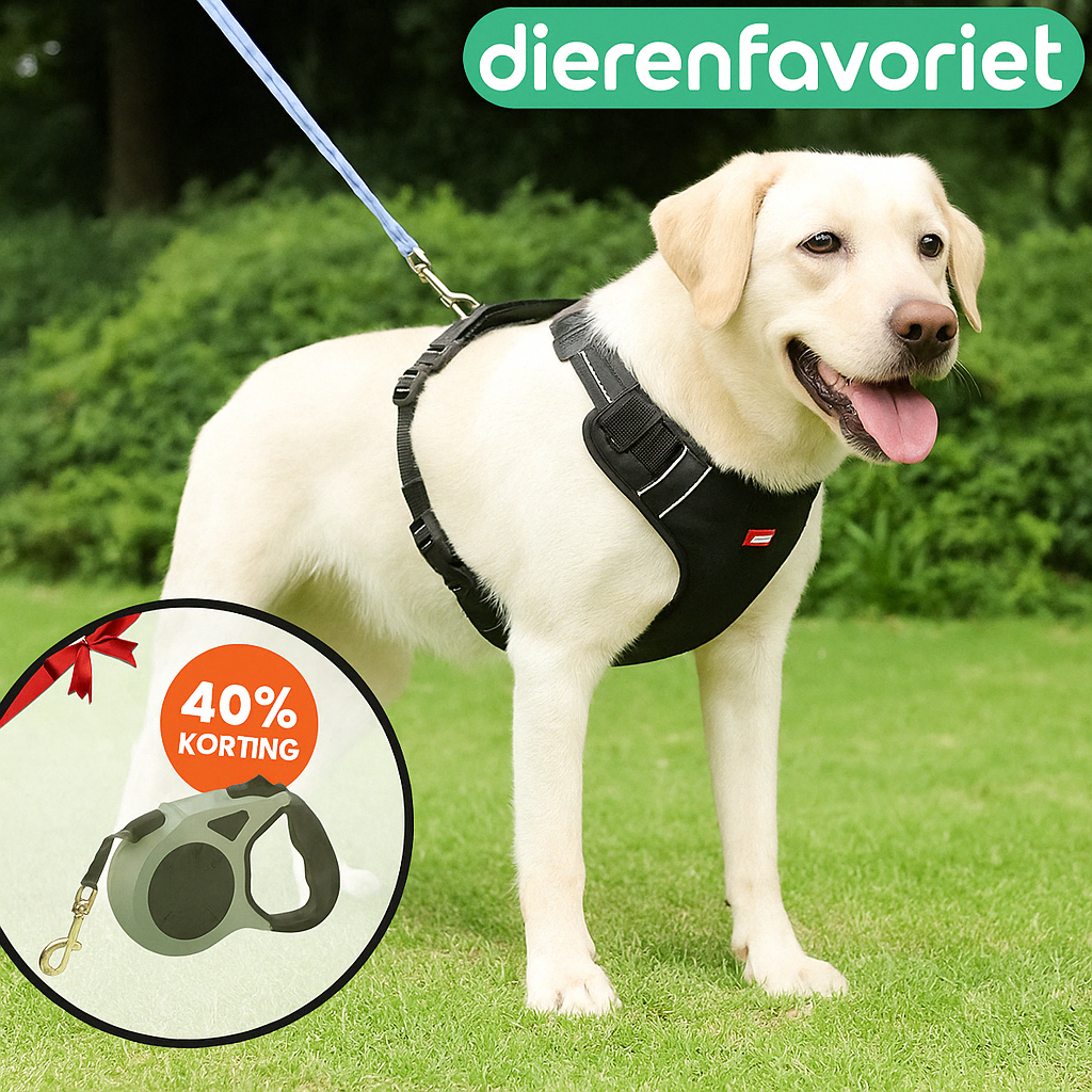 EasyWalk™ | Voorkom nekpijn en kies voor ademend gemak!