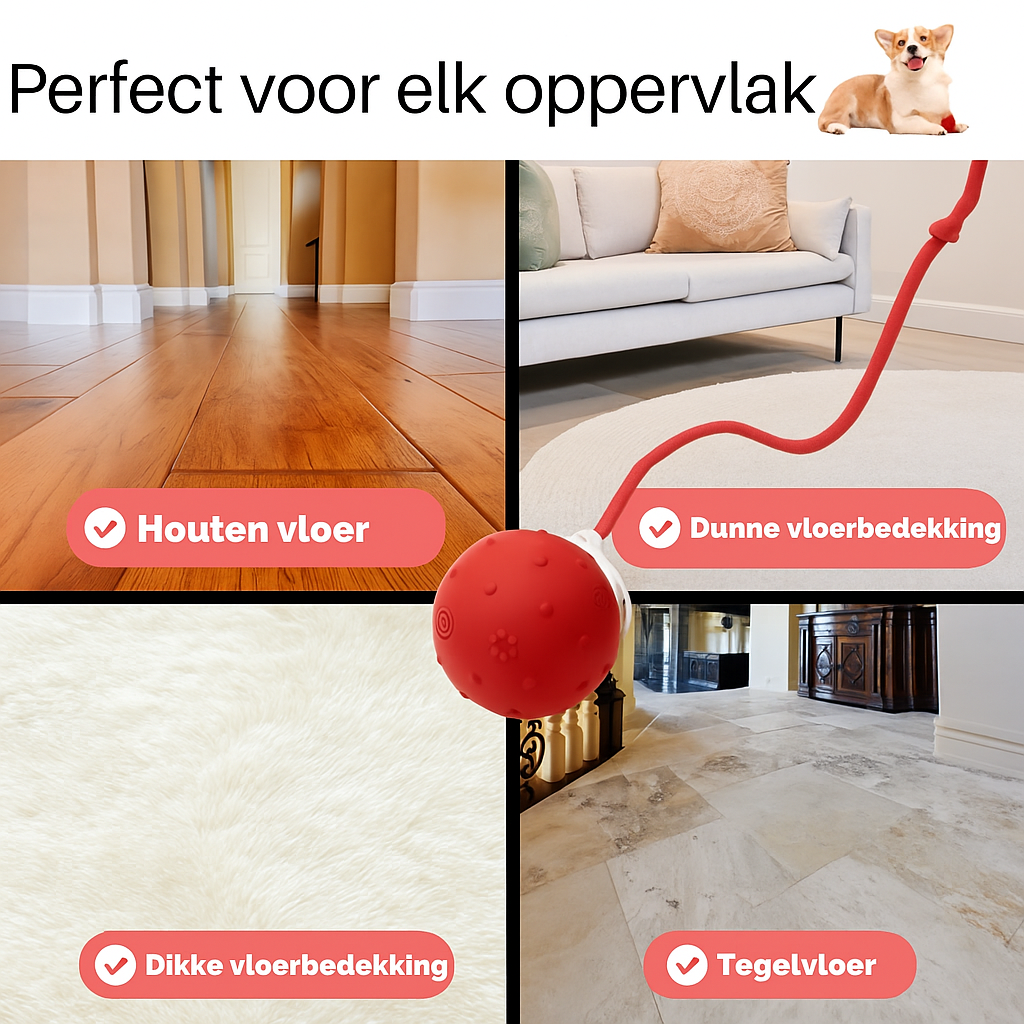 ProoiPret | Eindeloos plezier, zelfs als je niet thuis bent