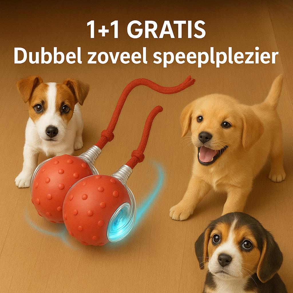 ProoiPret | Eindeloos plezier, zelfs als je niet thuis bent