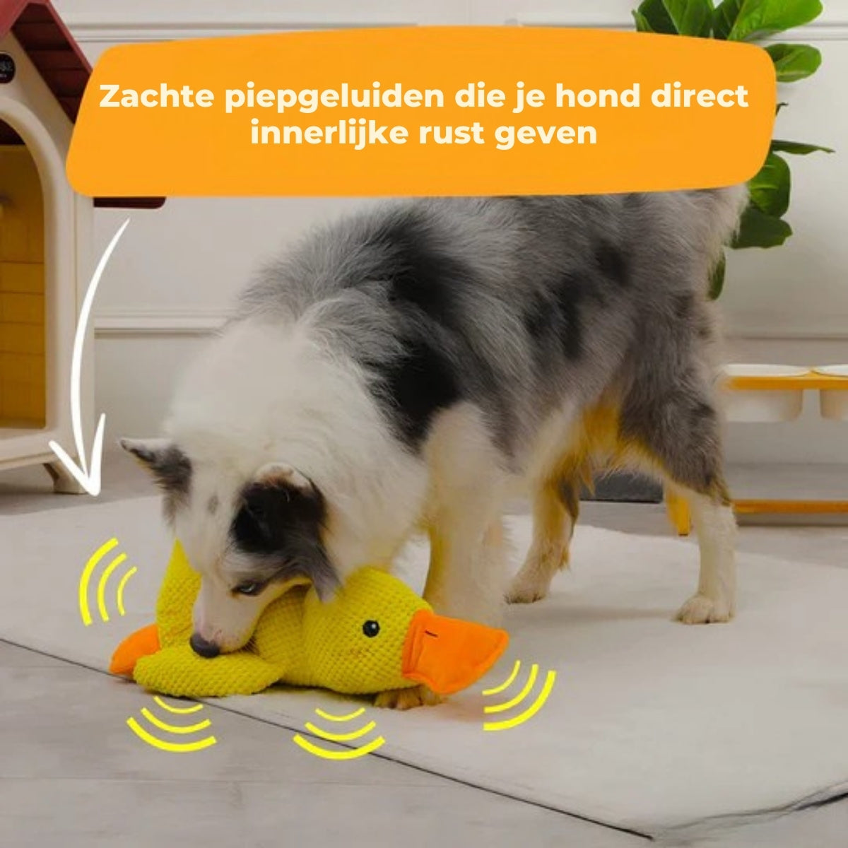 QuackBuddy | Anti-Stress Speelgoed voor Honden