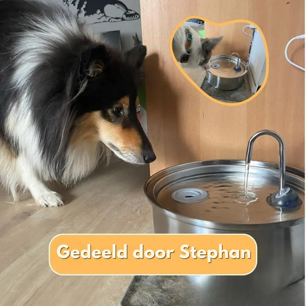 HydroPet | Anti-Bacteriële Drinkfontein