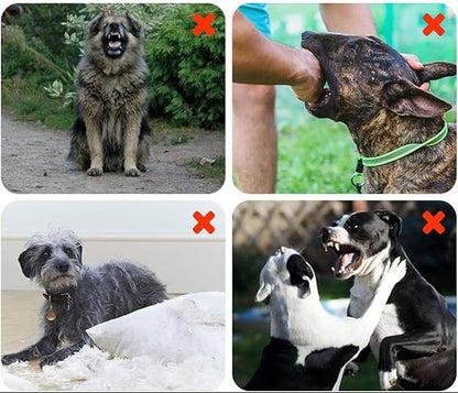 SilentPaws™ | Veilige en efficiënte ultrasonische hondgebarkcontrole