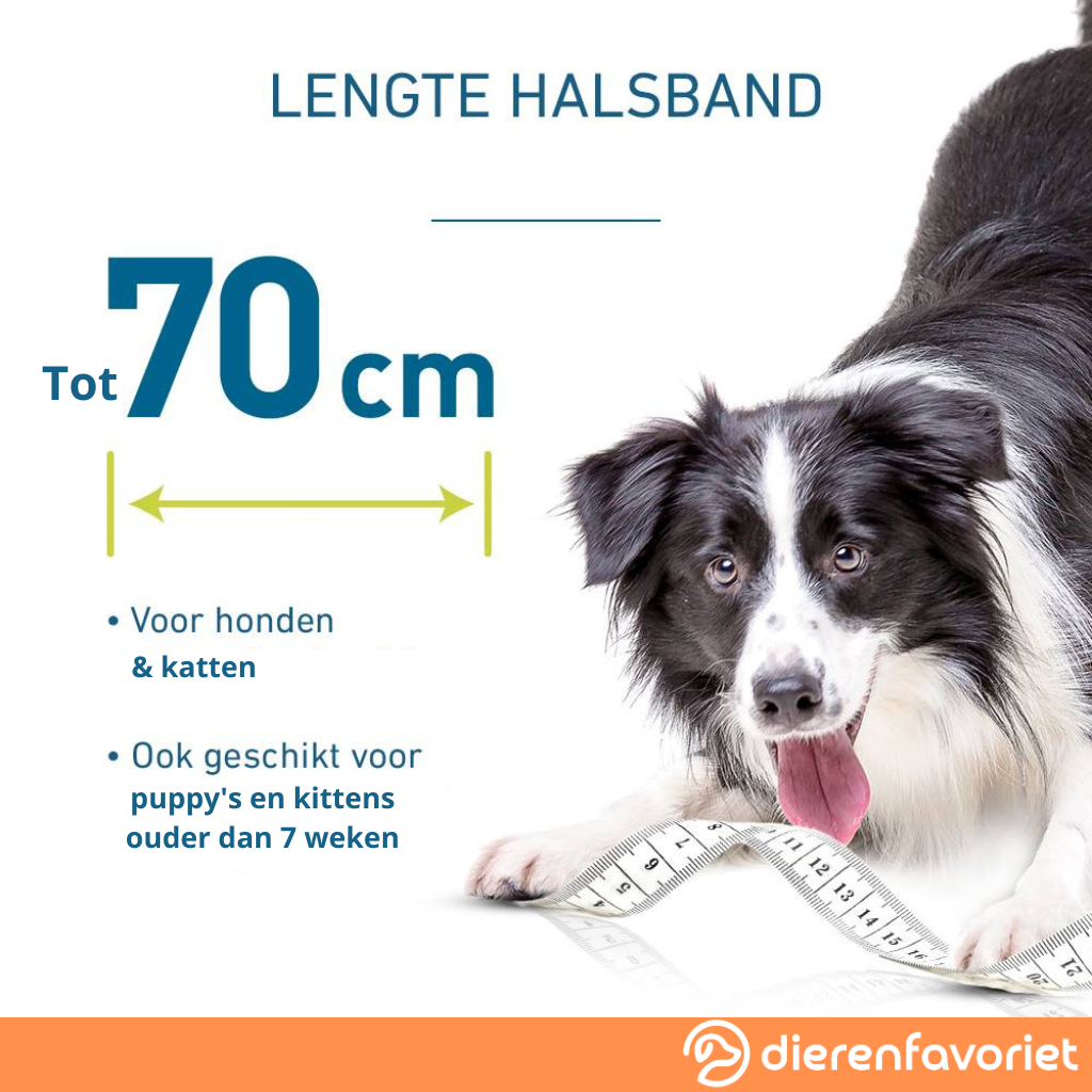 Vlooienhalsband™ Nooit meer last van vlooien!