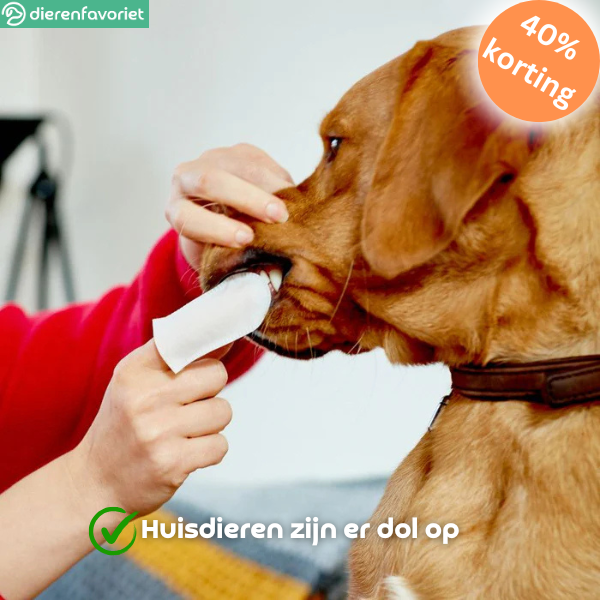 BrightBite™ | Tandreinigingsdoekjes