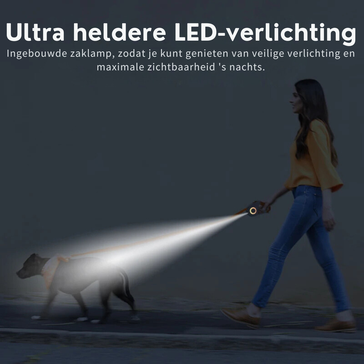 PawGlow™ |  Licht in de duisternis: veilig op pad, samen stralend!