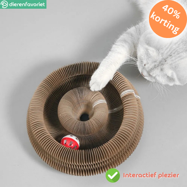 CatScratch™ | Speelgoed voor Klauwverzorging & Eindeloos Plezier