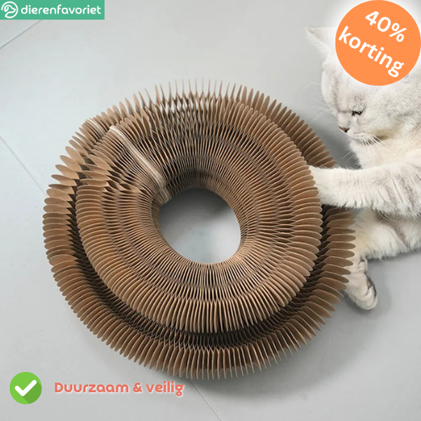 CatScratch™ | Speelgoed voor Klauwverzorging & Eindeloos Plezier