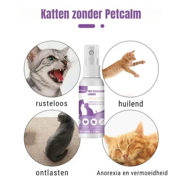 PetCalm™ Stressverlichting voor je harige vrienden!