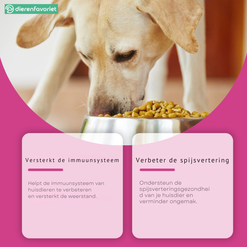 PawBiotic™ | Spijsverteringsondersteuning voor Huisdieren
