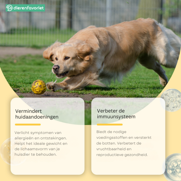 PawVit™ | Visolie Supplement Tabletten voor Honden