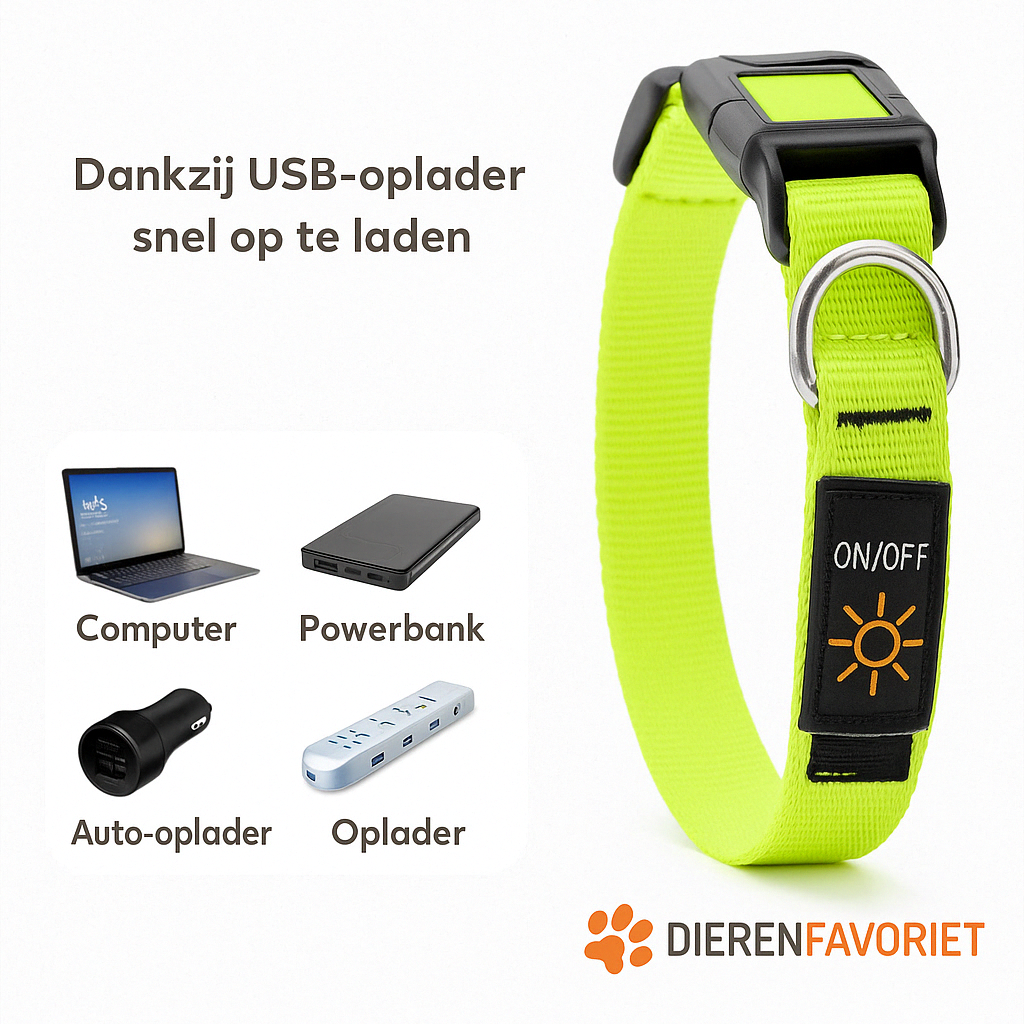 BrightPaw™ | Oplaadbare LED Hondenhalsband voor Veiligheid
