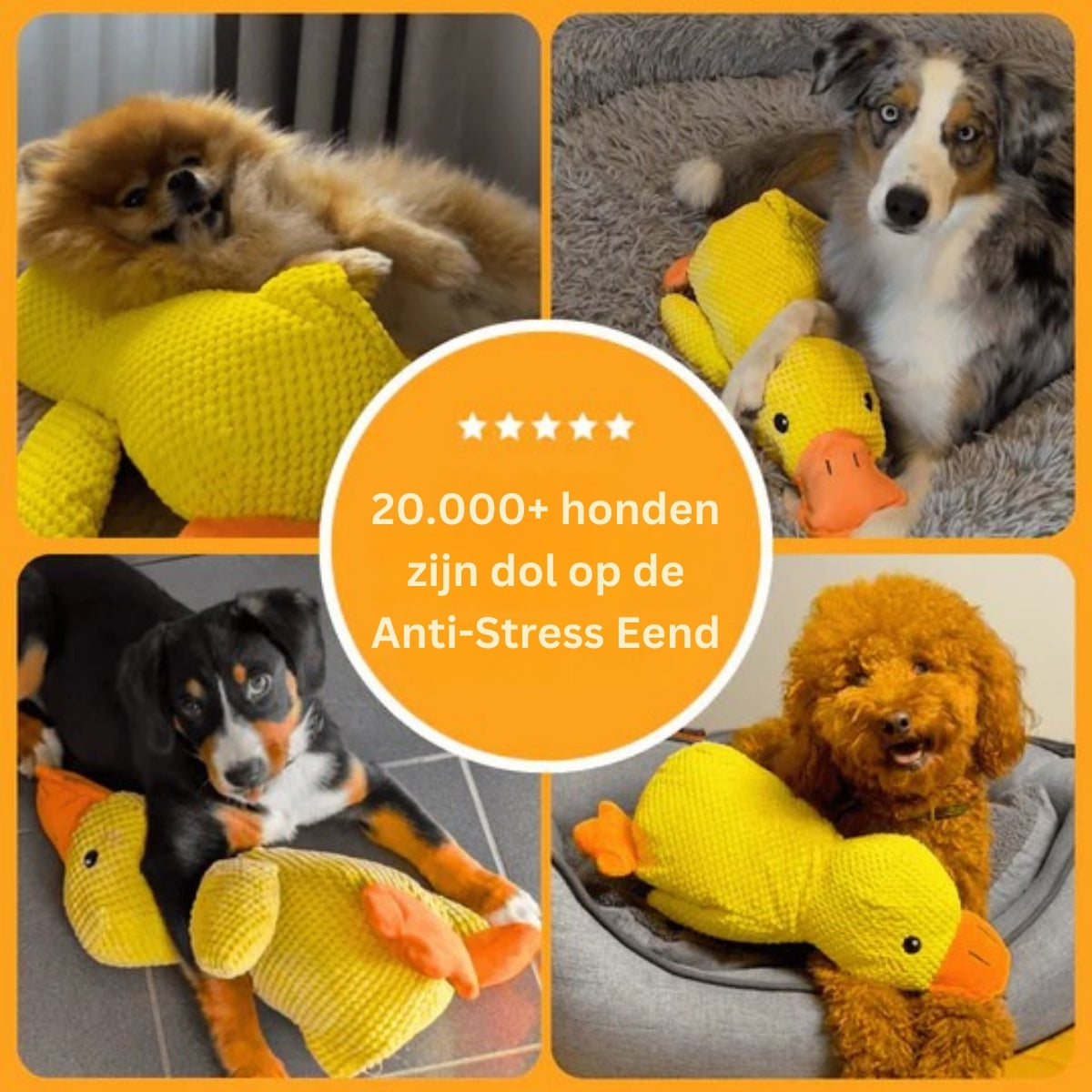 QuackBuddy | Anti-Stress Speelgoed voor Honden