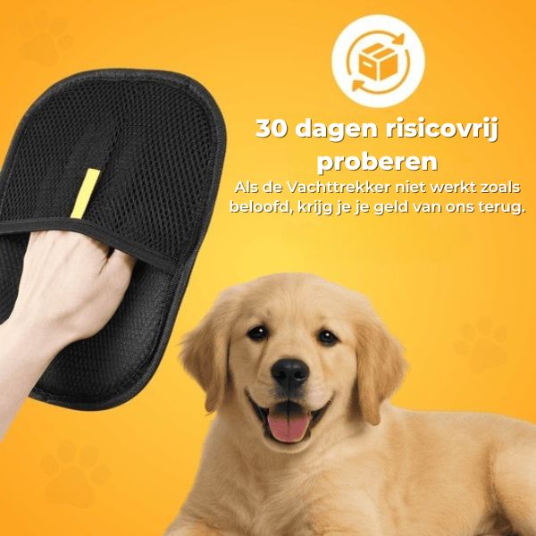 MagnetikFur™ | Haarvrij in seconden – zonder gedoe!