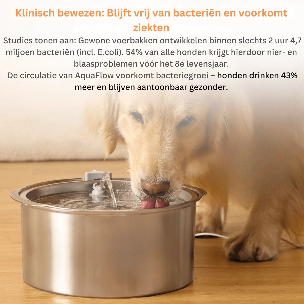 HydroPet | Anti-Bacteriële Drinkfontein