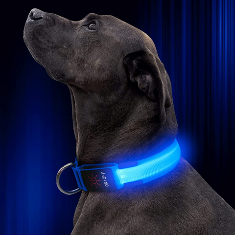BrightPaw™ | Oplaadbare LED Hondenhalsband voor Veiligheid