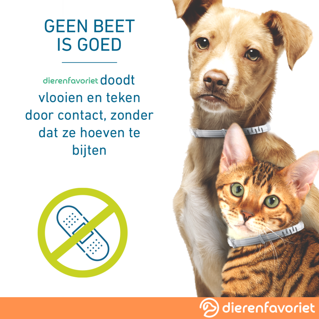 Vlooienhalsband™ Nooit meer last van vlooien!