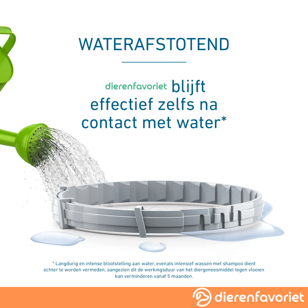 Vlooienhalsband™ Nooit meer last van vlooien!