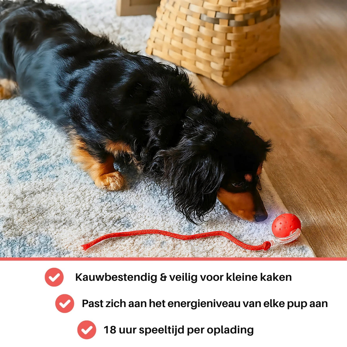 ProoiPret | Eindeloos plezier, zelfs als je niet thuis bent