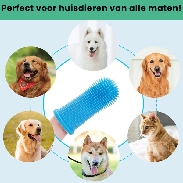 PurrfectSmile™ | Siliconen Vingertandenborstel voor Schonere Tanden en Frisse Adem