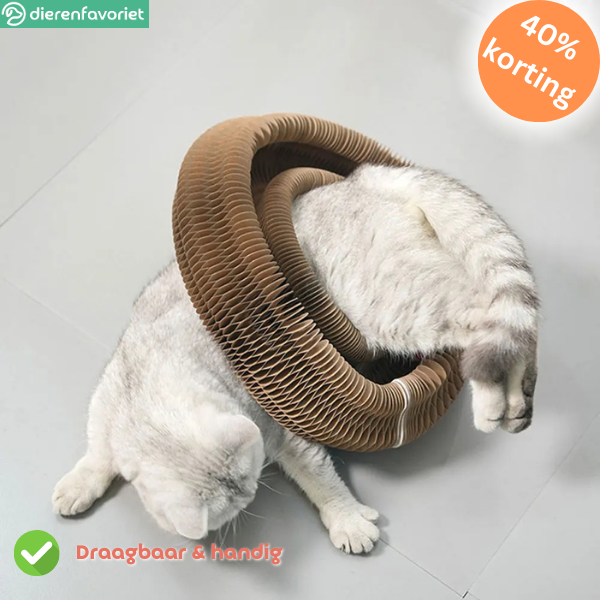 CatScratch™ | Speelgoed voor Klauwverzorging & Eindeloos Plezier