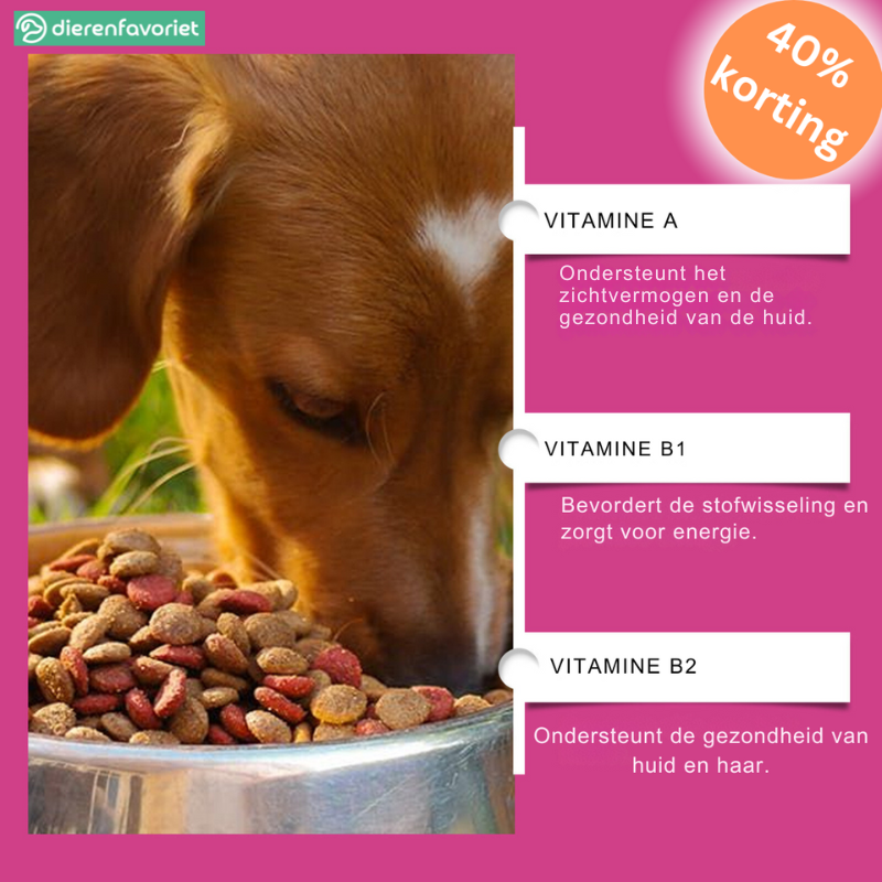 PawBiotic™ | Spijsverteringsondersteuning voor Huisdieren