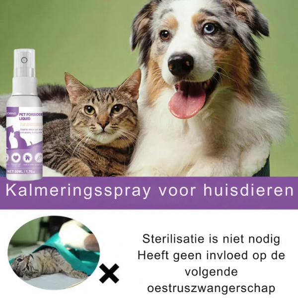 PetCalm™ Stressverlichting voor je harige vrienden!