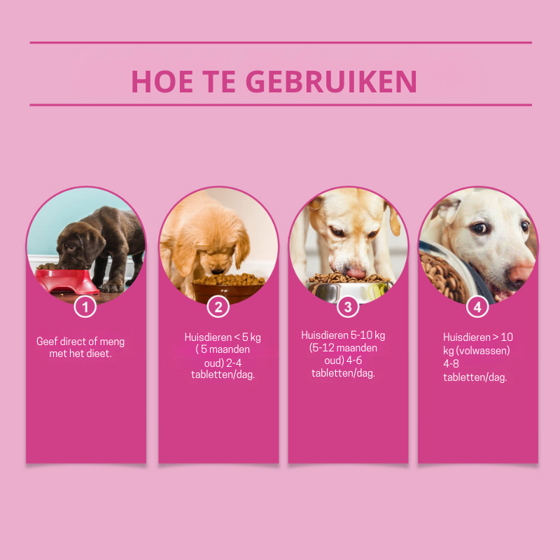 PawBiotic™ | Spijsverteringsondersteuning voor Huisdieren