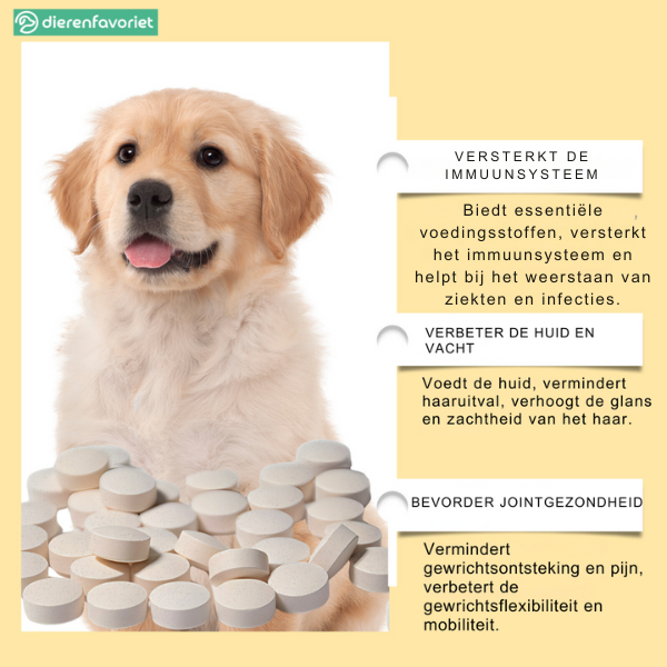 PawVit™ | Visolie Supplement Tabletten voor Honden