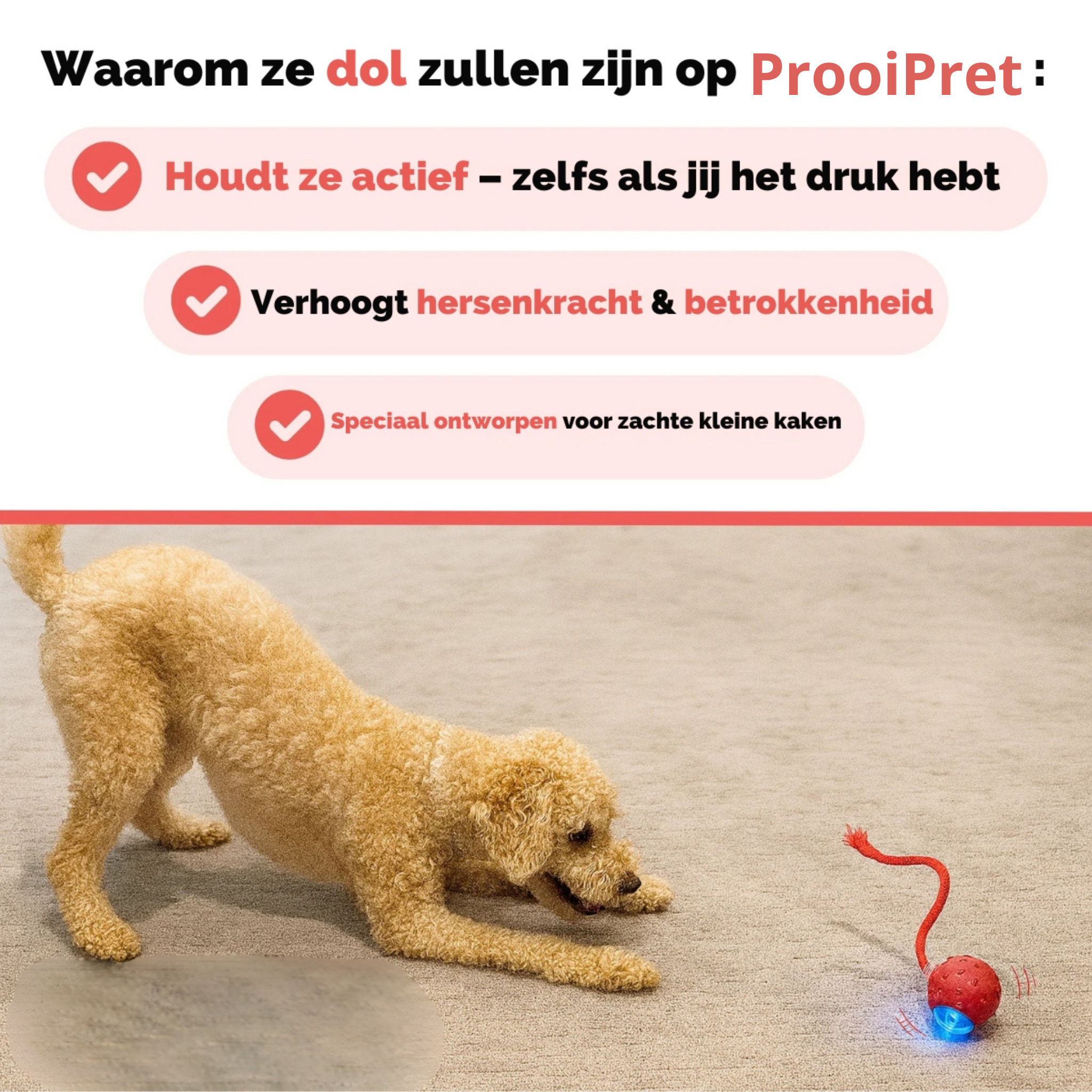 ProoiPret | Eindeloos plezier, zelfs als je niet thuis bent